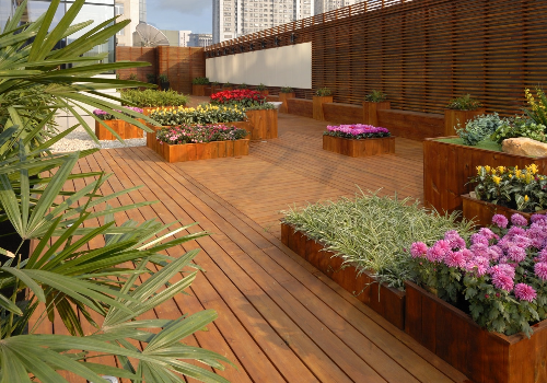 Terrace Garden Services Provider in Noida